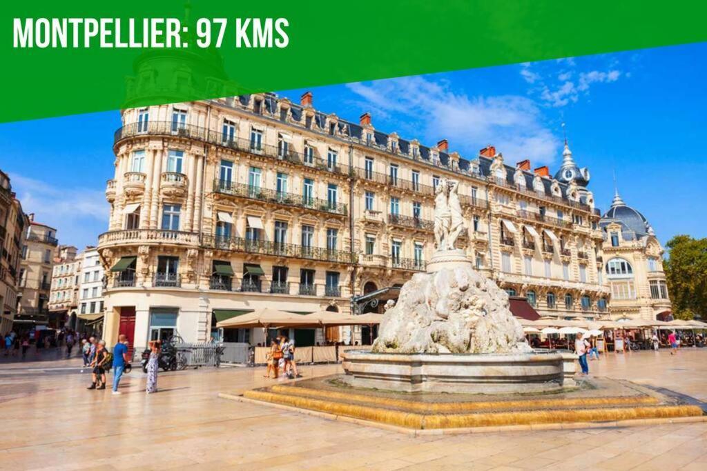 Les Brunes - Wi-Fi - Centre Ville - Proche Theatres 亞維農 外观 照片